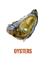 ￼oysters